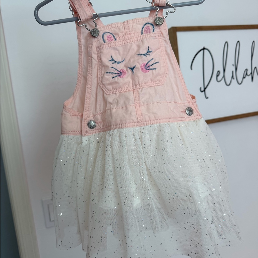 Oshkosh Dresses